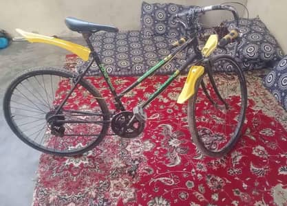 sports cycle