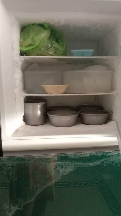 dark green colour of fridge  20 days fresh fruit or vegetable garenty