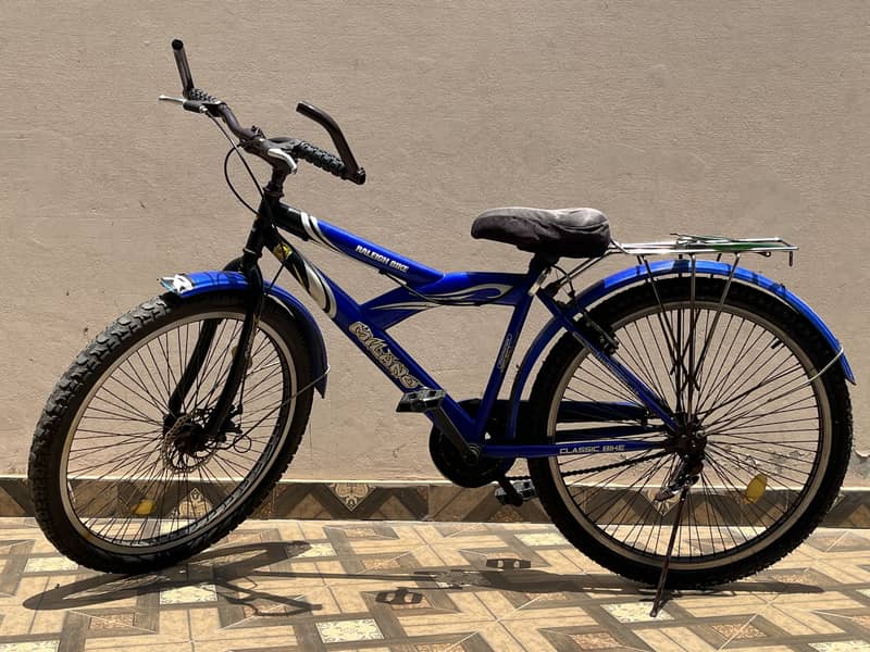 mountain cycle 2