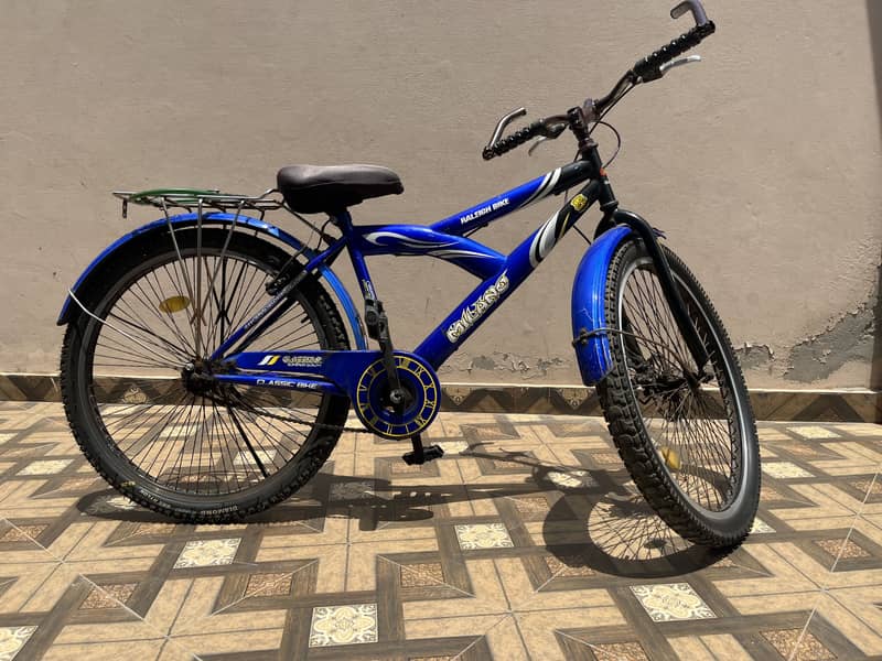 mountain cycle 3