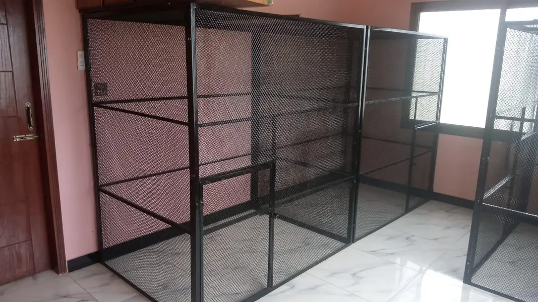 birds cages — photo 2