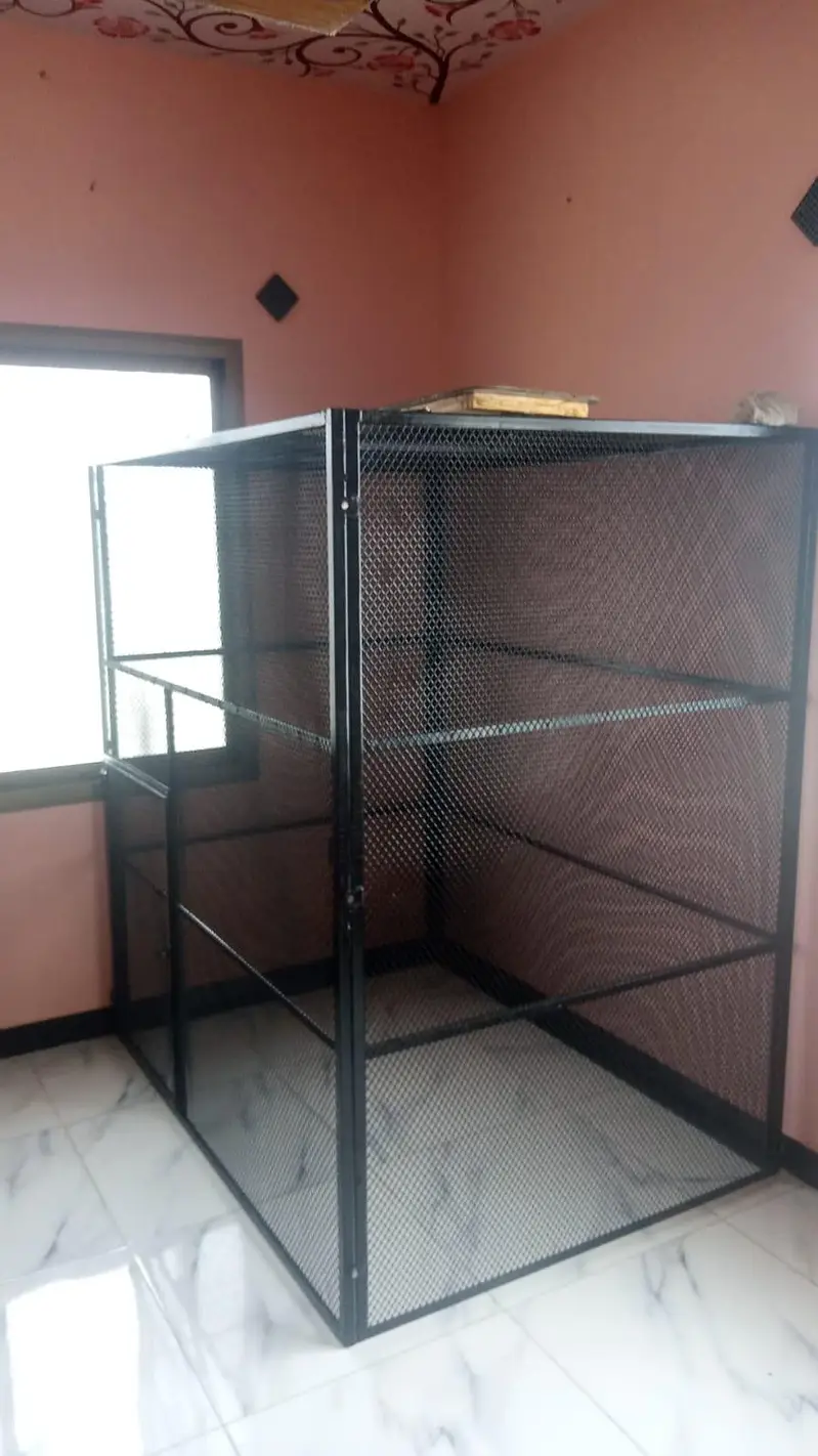birds cages — photo 3