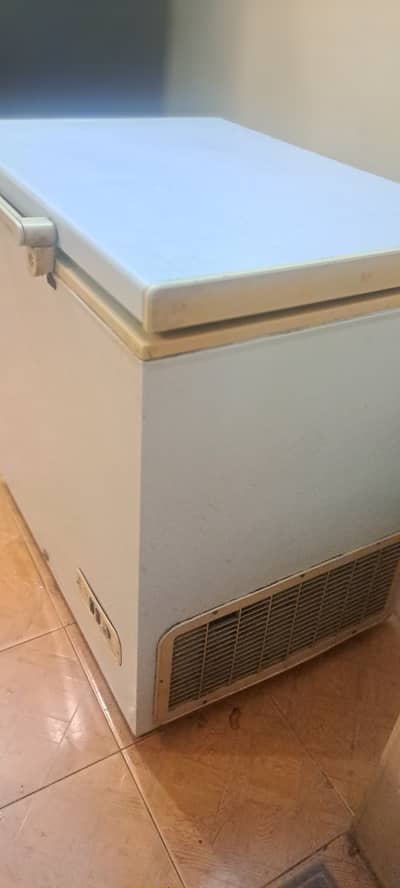 Dawlance deep freezer df 300