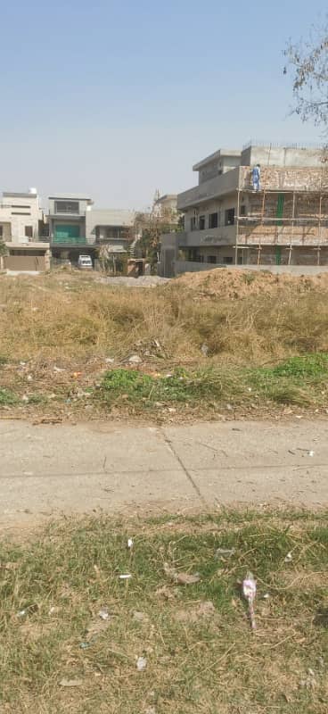 316 Square Yard Plot For Sale