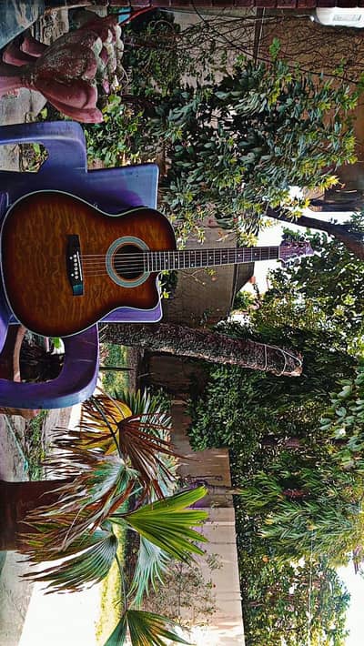 Guitar, Professional guitar,semi accostic guitar, brand new, guitar