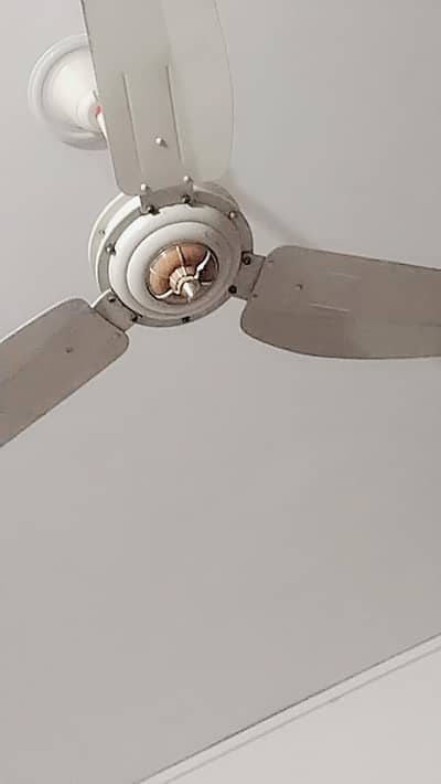 new condition mein fan hai very reasonable price ma
