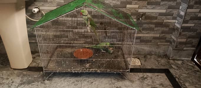 cages