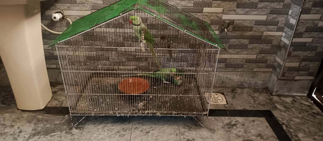 cages 0