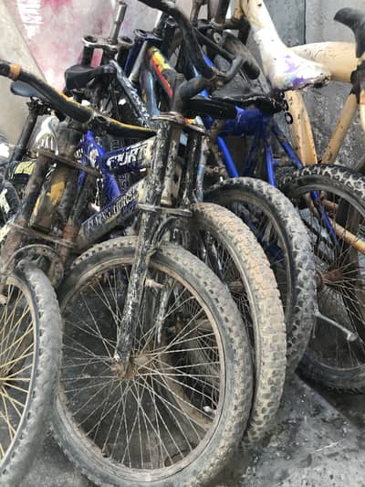 15 bicycles for sale 03036975101