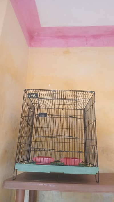 birds cage