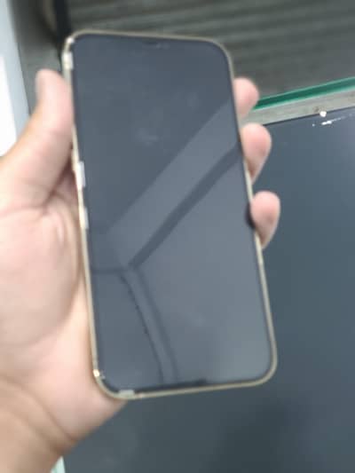 Apple iPhone 12 Pro Max