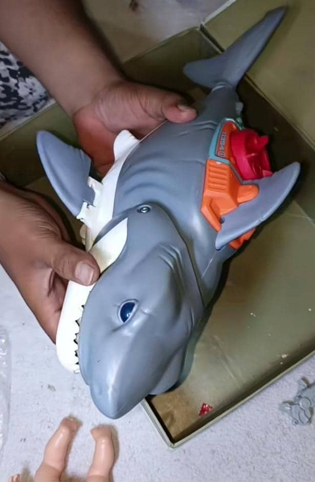 shark 2