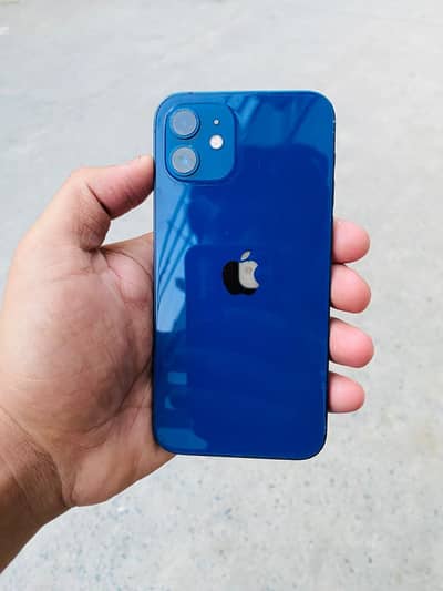 Apple iPhone 12