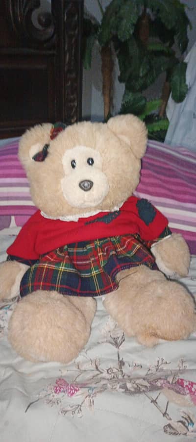 Teddy bear