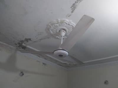 Fans for sale