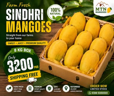 Sindhri Mango 8-KG Export Quality & Farm Fresh