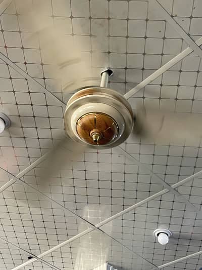 GFC CEILING FAN