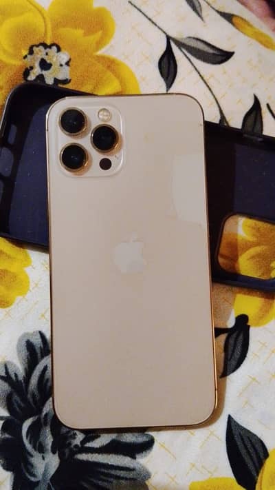 Apple iPhone 12 Pro Max