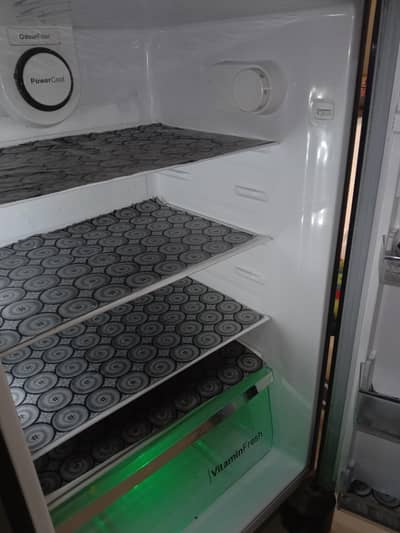 green colour of fridge 20 days fruit or vegetable fresh garenty