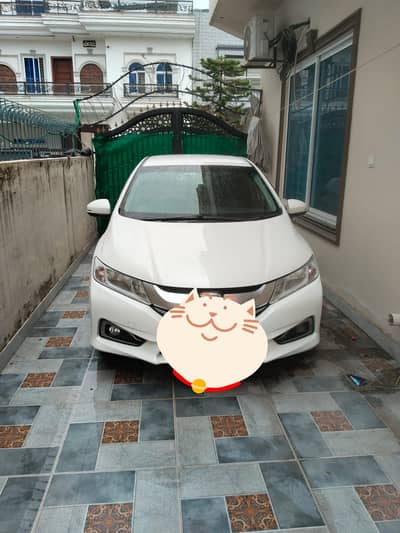Honda Grace Hybrid 2019 | Honda Grace | Honda Car For Sale
