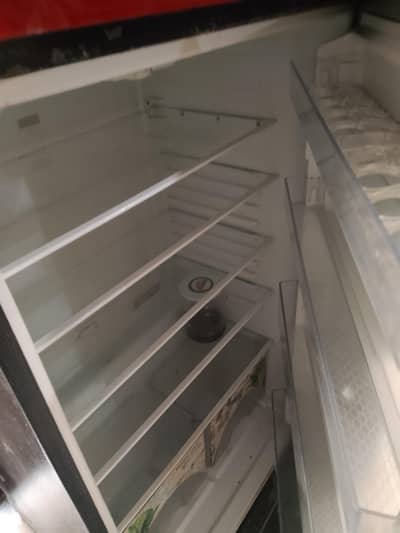 freezer donors