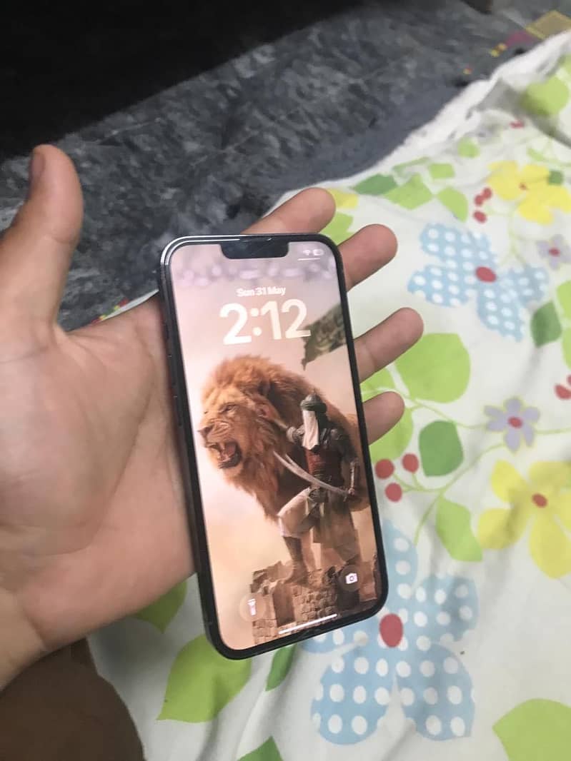 13 pro 10/10 1