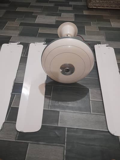 copper fan