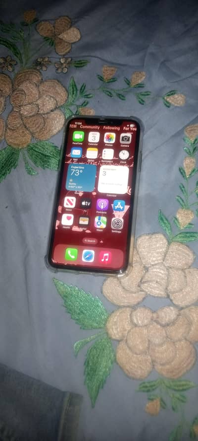 Apple iPhone X