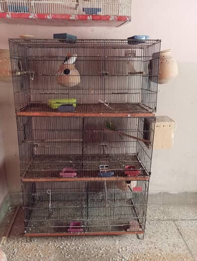 6 Portions Folding Cage