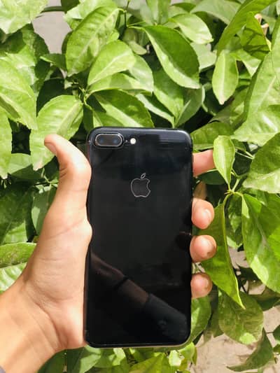 I phone 7 plus
