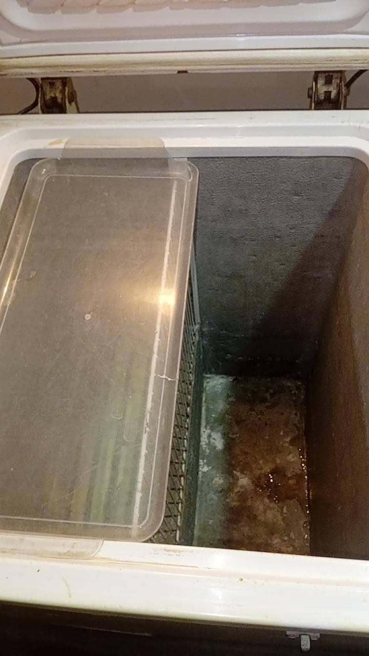 waves deep freezer 3