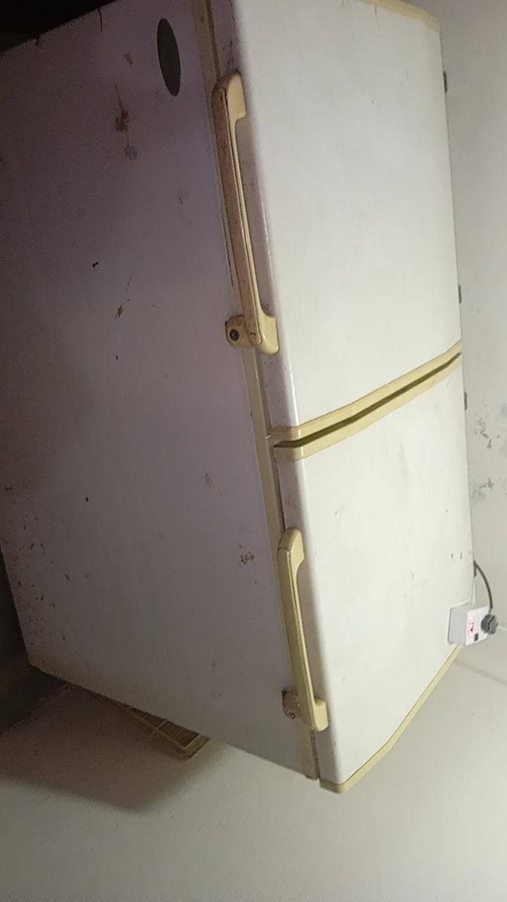 waves deep freezer 4