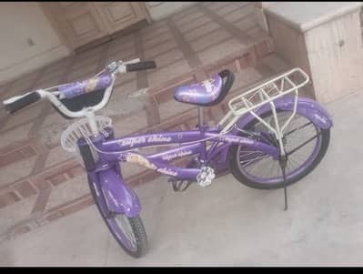 20 inch cycle