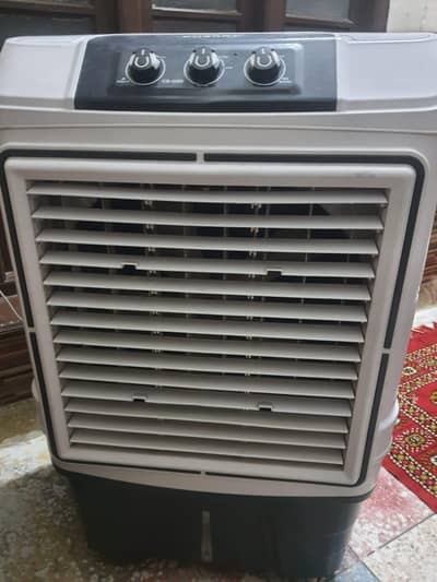 AC/ DC air coler