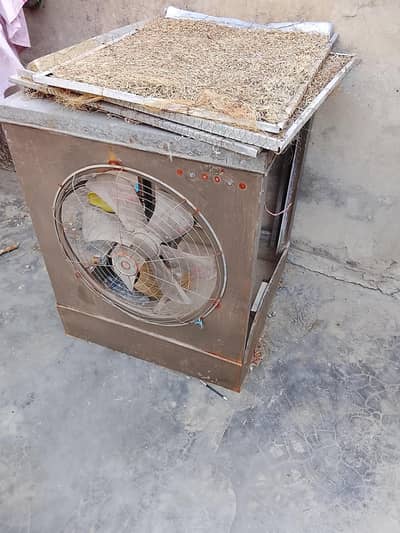 Lahorei cooler