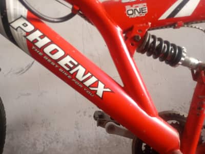 phoenix the best bike for you 