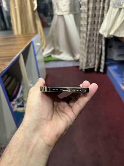 Apple iPhone 12 Pro Max