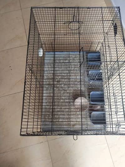 Cage for sale