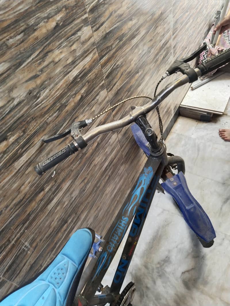 bicycle 1