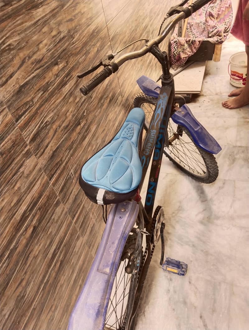 bicycle 2
