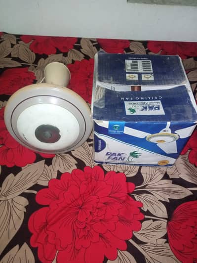 Pak Ceiling Fan