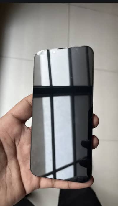 iPhone 13 Pro original panel