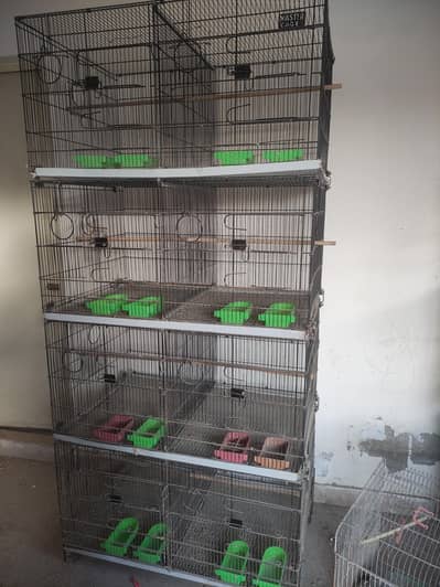 vip lovebird and big parrot cage for sale