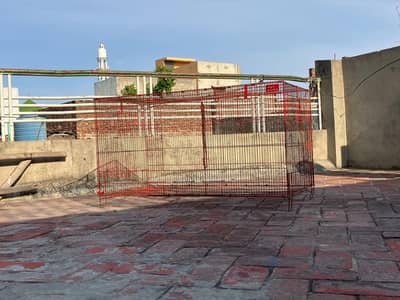 Full Size Cage For Sale