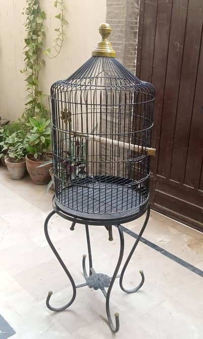 Stylish Cage For Raw Parrots
