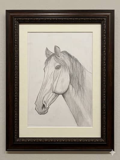 Horse head Sketch