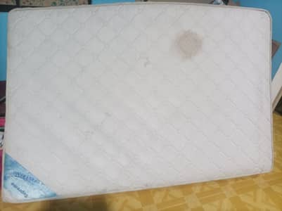 spine protection ortho