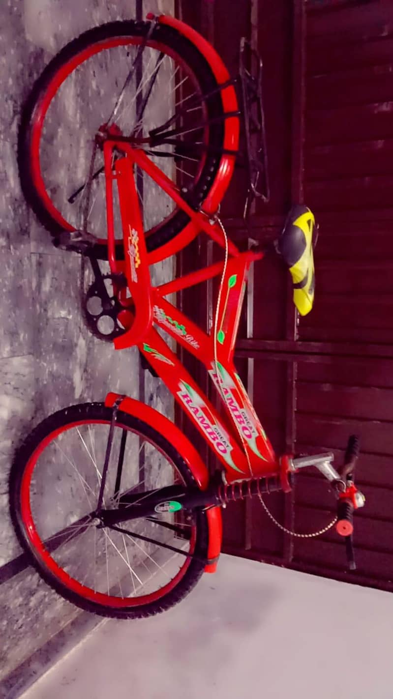 bicycle 1