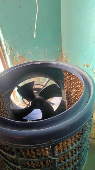 Air cooler