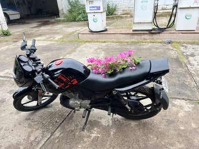 Modified YBR 125